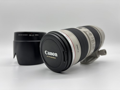 Ottime condizioni canon - condizioni],